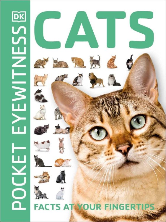 Обложка книги «Cats Кошки / Книги на английском языке», ISBN 9780241413012