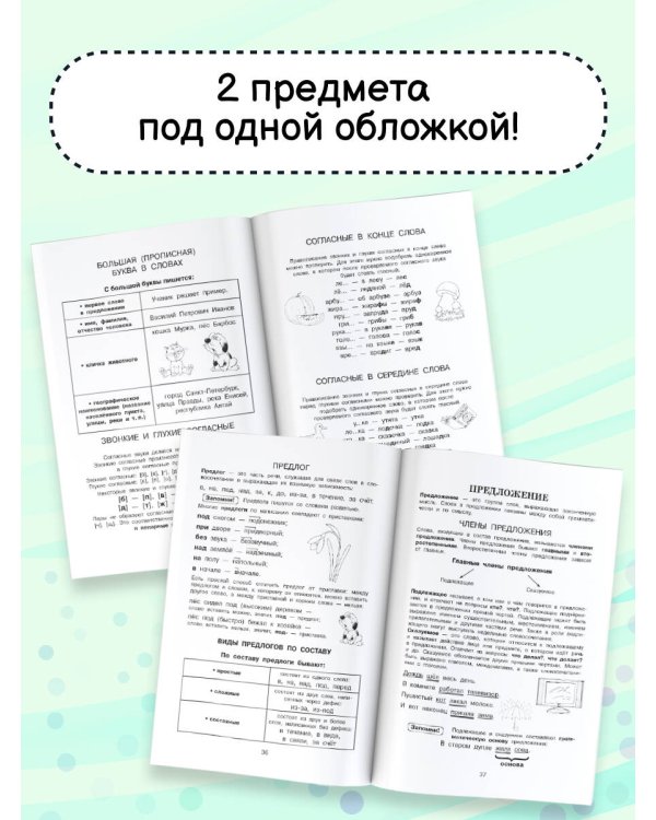 Все правила в картинках. Русский язык и математика