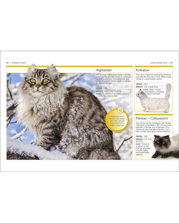 Дополнительное изображение книги «Cats Кошки / Книги на английском языке»