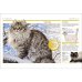 Дополнительное изображение книги «Cats Кошки / Книги на английском языке»