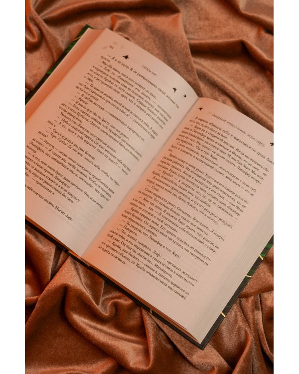 Дополнительное изображение книги «Академия Черной птицы. Люби смерть»