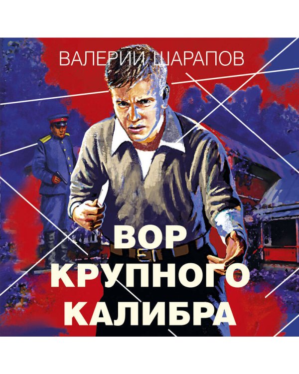 Вор крупного калибра