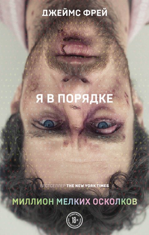 Бунтарь. Самые провокационные писатели мира Миллион мелких осколков