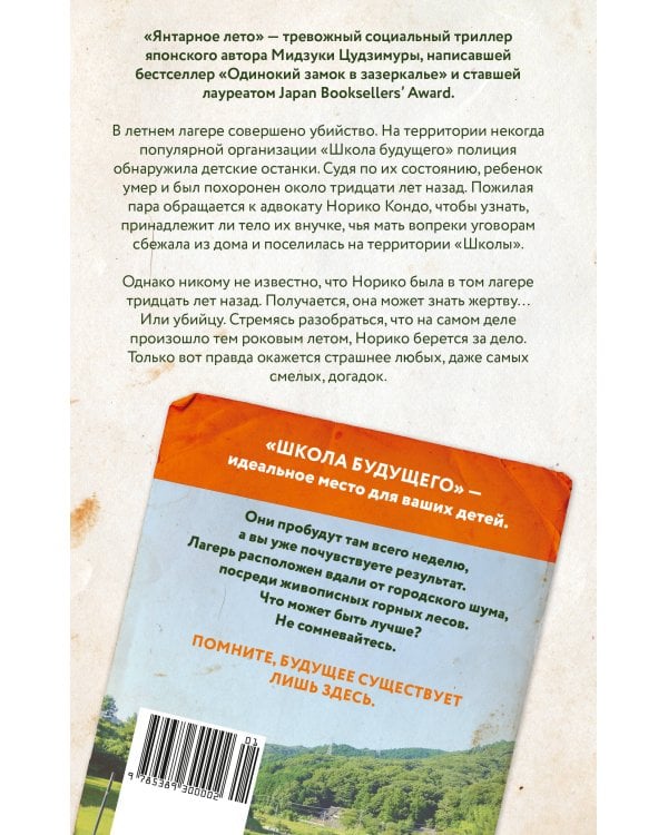 Дополнительное изображение книги «Янтарное лето»
