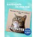 Я не вывожу! Календарь настенный на 2026 год для тех, кто задолбался (300х300 мм)
