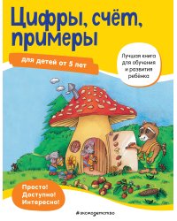 Цифры, счет, примеры: для детей от 5 лет