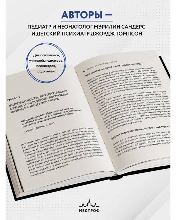 Поливагальная теория: использование блуждающего нерва в работе с детской психотравмой