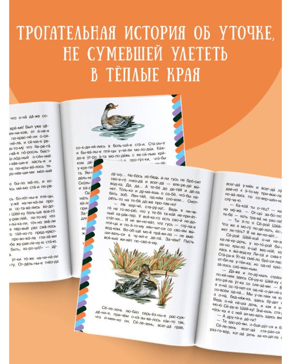Серая Шейка