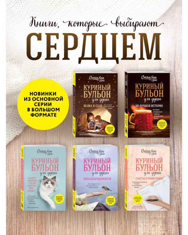 Дополнительное изображение книги «Куриный бульон для души. 101 лучшая история (лучшая цена)»