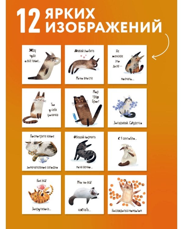 Дополнительное изображение книги «Ты мой котик. Календари настенные на 2027 год (300х300)»