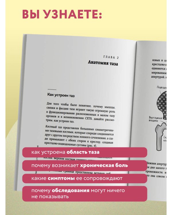 Тазовая боль. Почему она возникает и что с ней делать