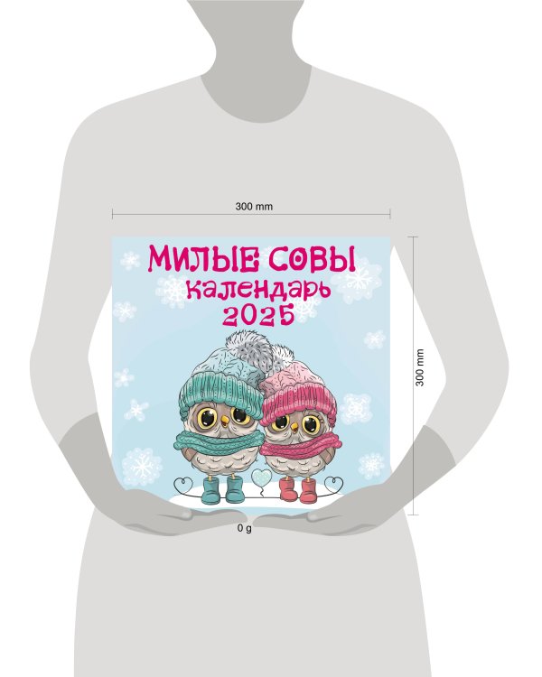 Милые совы. Календарь настенный на 2025 год (300х300 мм)