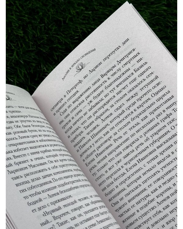 Дополнительное изображение книги «Амалия и Зеркало сновидений»
