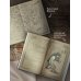 Нечисть. Лиходей. Книга 2