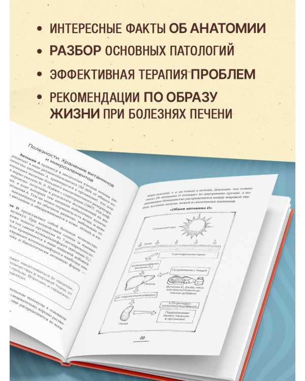 Печень без проблем. Гепатолог о том, что разрушает печень и как с этим справиться
