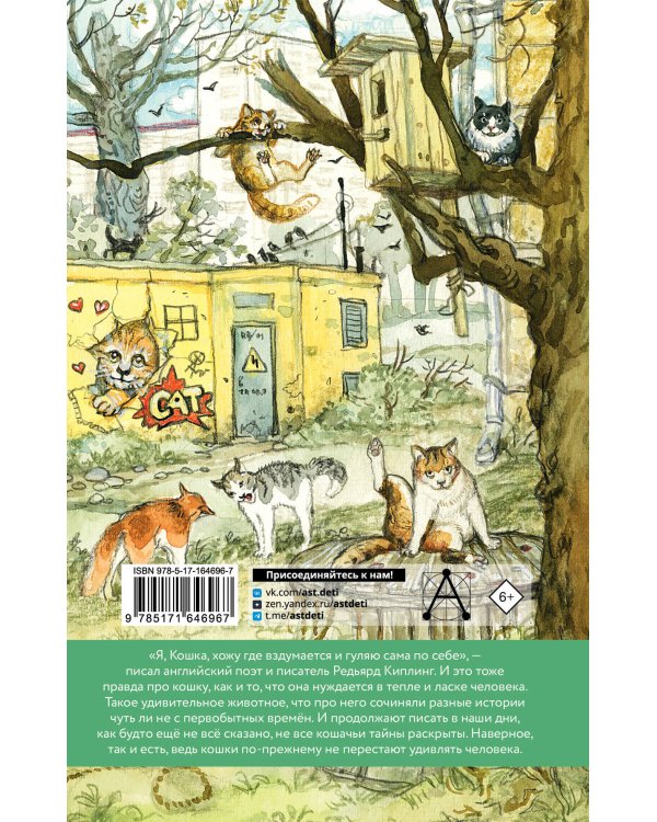 Большая кошачья книга