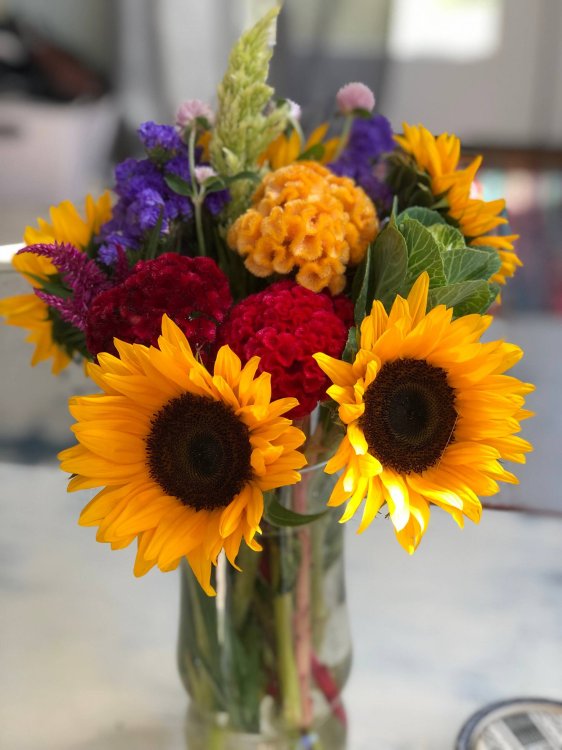 Алмаз. моз. (блест) 30х40 см, без подр.,с полн. заполн.(31цв) Сочный букет с подсолнух (Арт. WFS104)