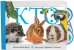 Обложка книги «Кто?» — Мэтью Ван Флит, ISBN 9785389184503
