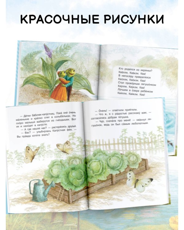 Лесные сказки для почемучки