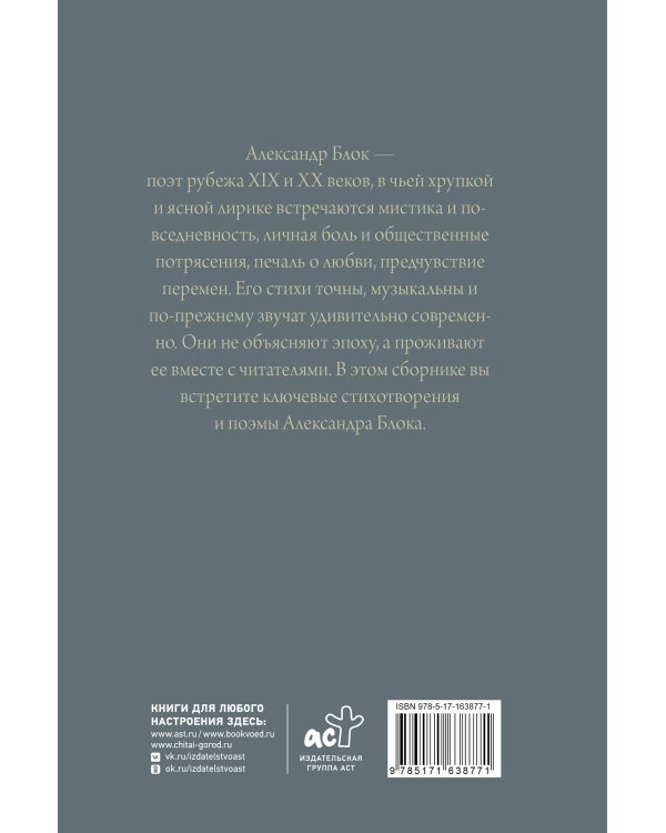 Дополнительное изображение книги «Поэзия. Все в одной книге»