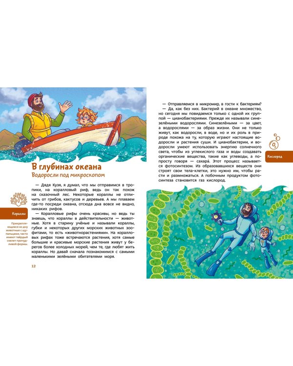 Растения и грибы. Детская энциклопедия (Чевостик)