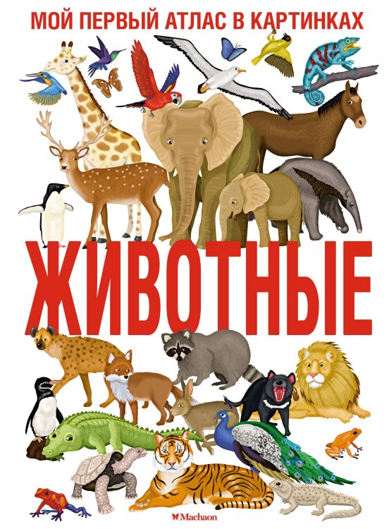 Обложка книги «Животные. Мой первый атлас в картинках» — Барсотти Илария, ISBN 9785389259539