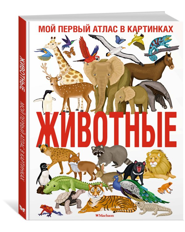 Дополнительное изображение книги «Животные. Мой первый атлас в картинках»