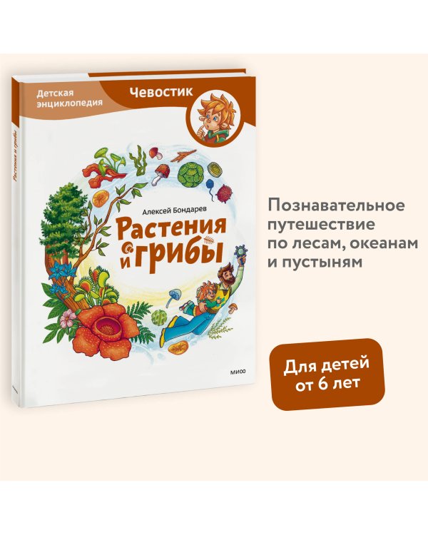 Растения и грибы. Детская энциклопедия (Чевостик)