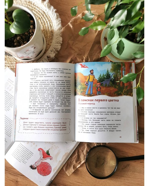 Растения и грибы. Детская энциклопедия (Чевостик)