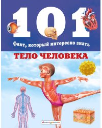 Тело человека