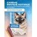 Дополнительное изображение книги «Пушистые котики. Раскраска по номерам»