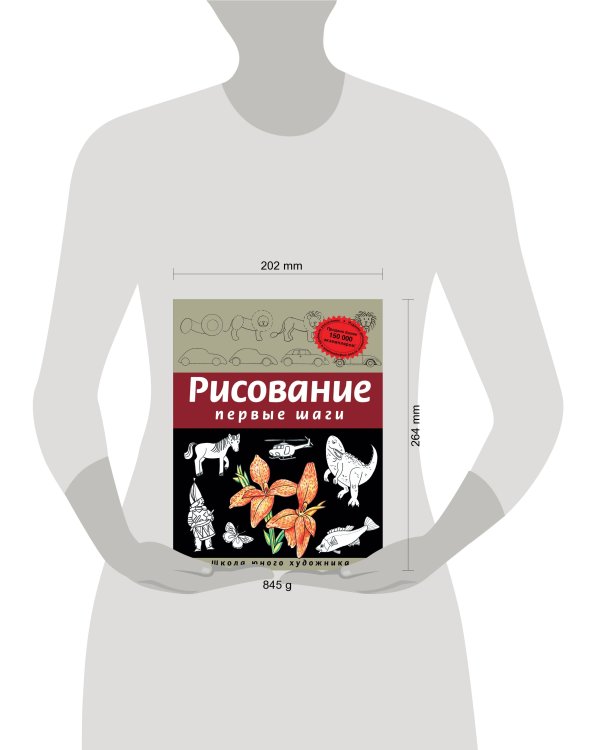 Рисование. Первые шаги (обновленное издание)