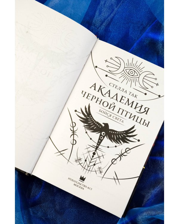 Академия Черной птицы. Бойся света