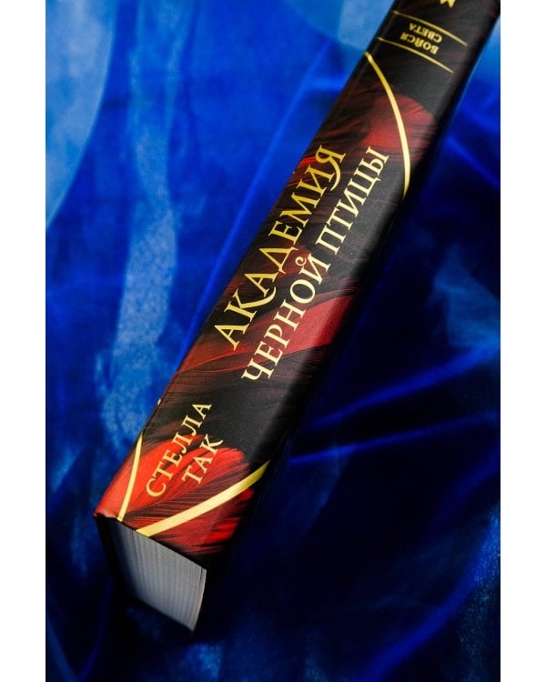 Академия Черной птицы. Бойся света