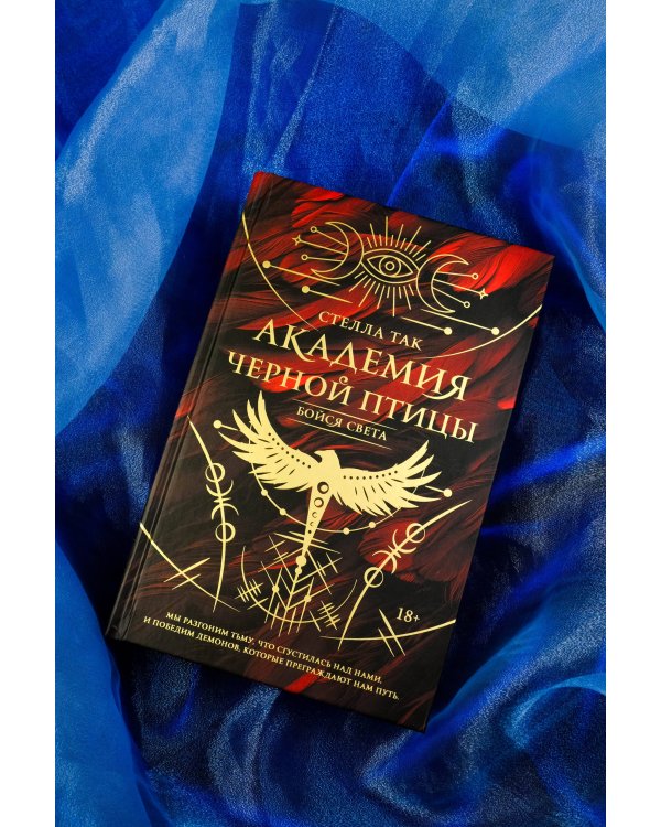 Академия Черной птицы. Бойся света
