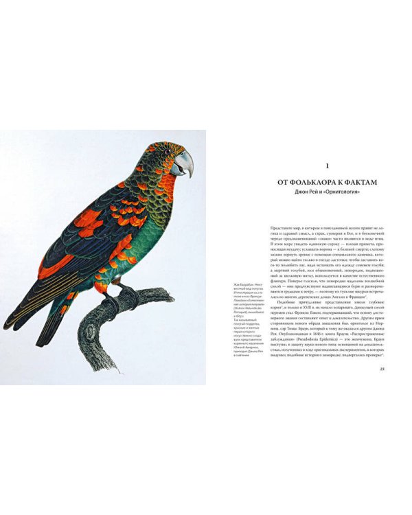Иллюстрированная история орнитологии