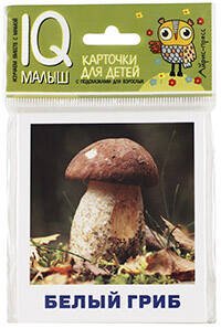 IQ малыш (Айрис) Умный малыш. Грибы наших лесов. Набор карточек для детей.