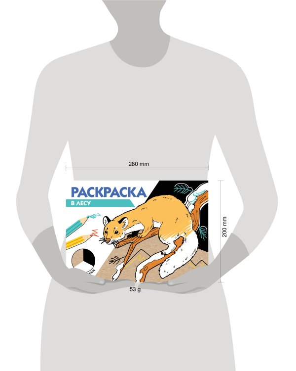РАСКРАСКА ТРИ ЦВЕТА БУМАГИ. В лесу