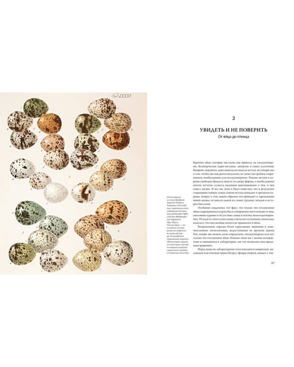 Иллюстрированная история орнитологии