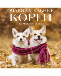 Очаровательные корги. Календарь настенный на 2025 год (300х300 мм)