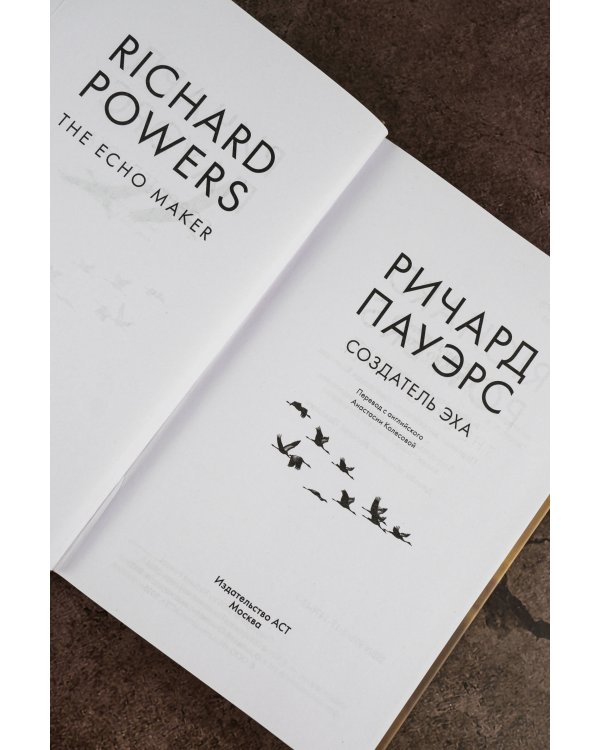 Создатель эха