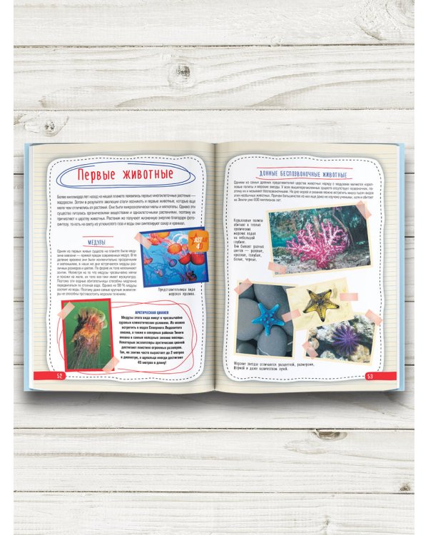 Атлас планеты Земля