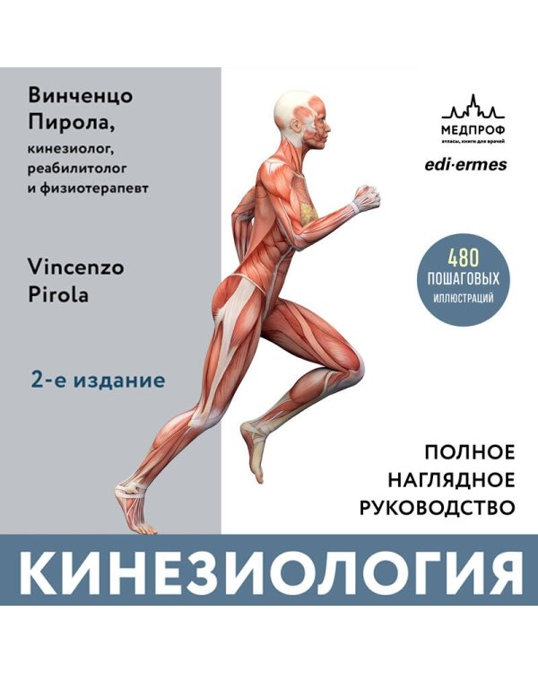 Дополнительное изображение книги «Кинезиология. Практическое применение биомеханики и нейрофизиологии движения»