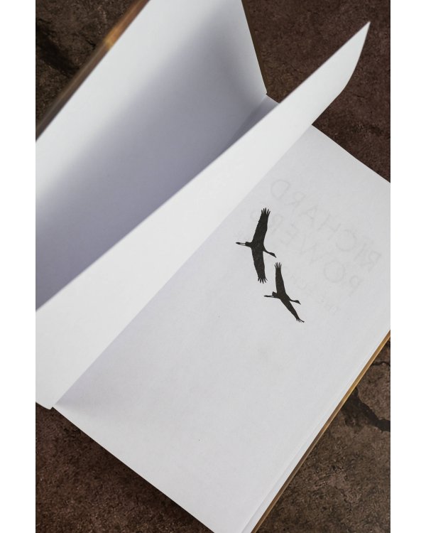 Создатель эха