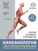 Обложка книги «Кинезиология. Практическое применение биомеханики и нейрофизиологии движения» — Пирола Винченцо, ISBN 9785041988449