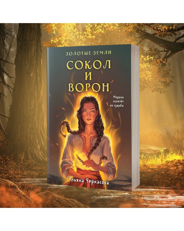 Комплект Золотые Земли (книга Сокол и ворон+тетрадь)