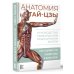 Атлас человека: профессионально-популярное издание Анатомия тай-цзы. Руководство Гарвардской медицинской школы
