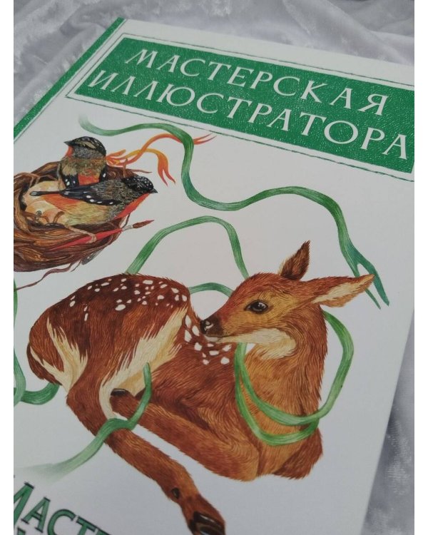 Дополнительное изображение книги «Мастерская иллюстратора»