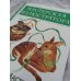 Дополнительное изображение книги «Мастерская иллюстратора»