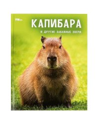Капибара и другие забавные звери. Энциклопедия. 197х255мм. 7БЦ. 48 стр. Умка в кор.15шт